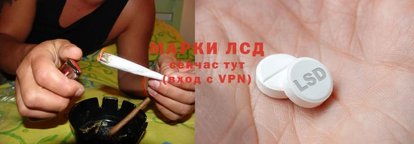 PSILOCYBIN Няндома