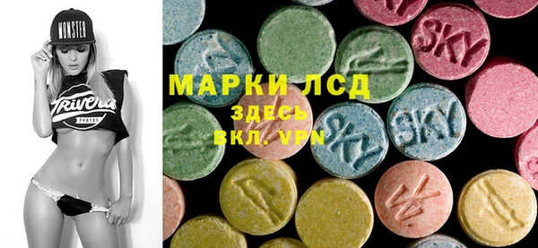 PSILOCYBIN Няндома