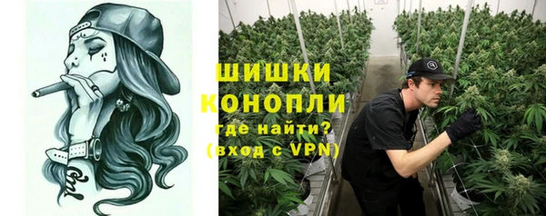PSILOCYBIN Няндома