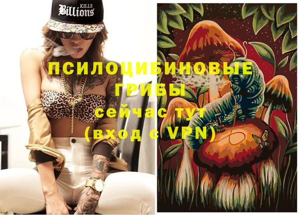 альфа пвп Нязепетровск