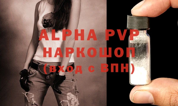 PSILOCYBIN Няндома