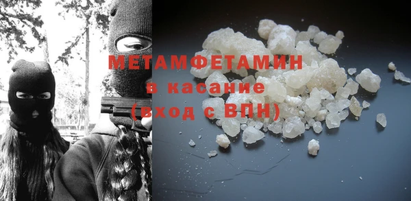 шишки Белая Холуница
