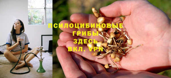 альфа пвп Нязепетровск