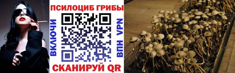 мега онион Опочка Галлюциногенные грибы мицелий