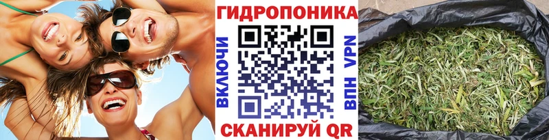 Канабис LSD WEED  как найти   Опочка 